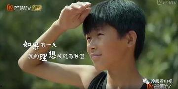 变形计十四季在线观看,青春蜕变之旅，在线观看见证成长瞬间  第1张